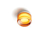 Ambre