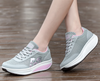 Gris / 5-5.5AU / Étroite/Standard