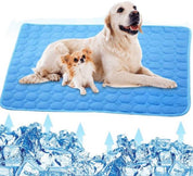 Cane e cucciolo su tappetino refrigerante blu per animali domestici, circondati da ghiaccio. Ideale per rinfrescare cani in estate.