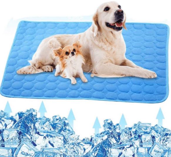 Cane e cucciolo su tappetino refrigerante blu per animali domestici, circondati da ghiaccio. Ideale per rinfrescare cani in estate.