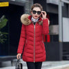 Dark Red / M
