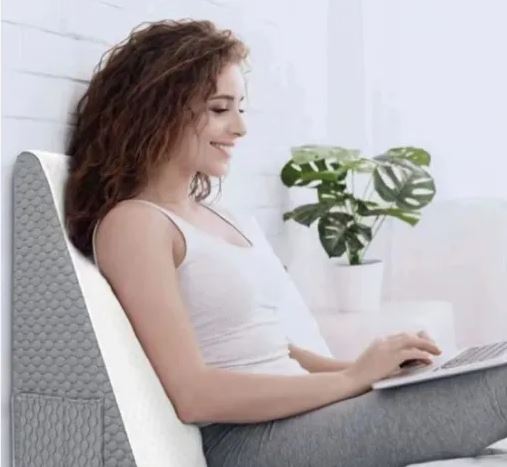 Donna sorridente usa laptop su cuscino ergonomico grigio, pianta verde sullo sfondo. Comfort, lavoro da casa, arredamento moderno.