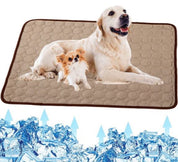 Cane grande e piccolo su tappetino rinfrescante per animali domestici, circondati da ghiaccio. Tappeto refrigerante per cani, comfort estivo.