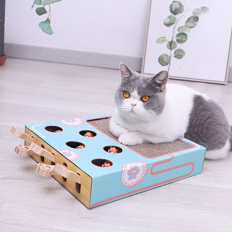 3-in-1 Interaktives Katzenspielzeug - WhiskerPlay 0