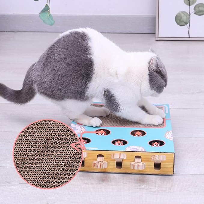 3-in-1 Interaktives Katzenspielzeug - WhiskerPlay 4