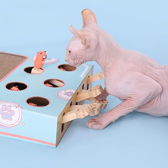 3-in-1 Interaktives Katzenspielzeug - WhiskerPlay 5