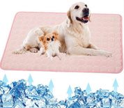 Due cani su tappetino refrigerante rosa, con frecce blu che indicano il raffreddamento. Ideale per animali domestici, comfort estivo, sollievo dal caldo.