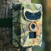Fototrappola mimetica montata su albero in foresta, ideale per monitoraggio fauna selvatica e sicurezza, con sensore di movimento e visione notturna.