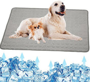 Due cani su tappetino rinfrescante grigio, con ghiaccio sotto. Tappetino refrigerante per animali domestici, comfort estivo, riduzione calore.