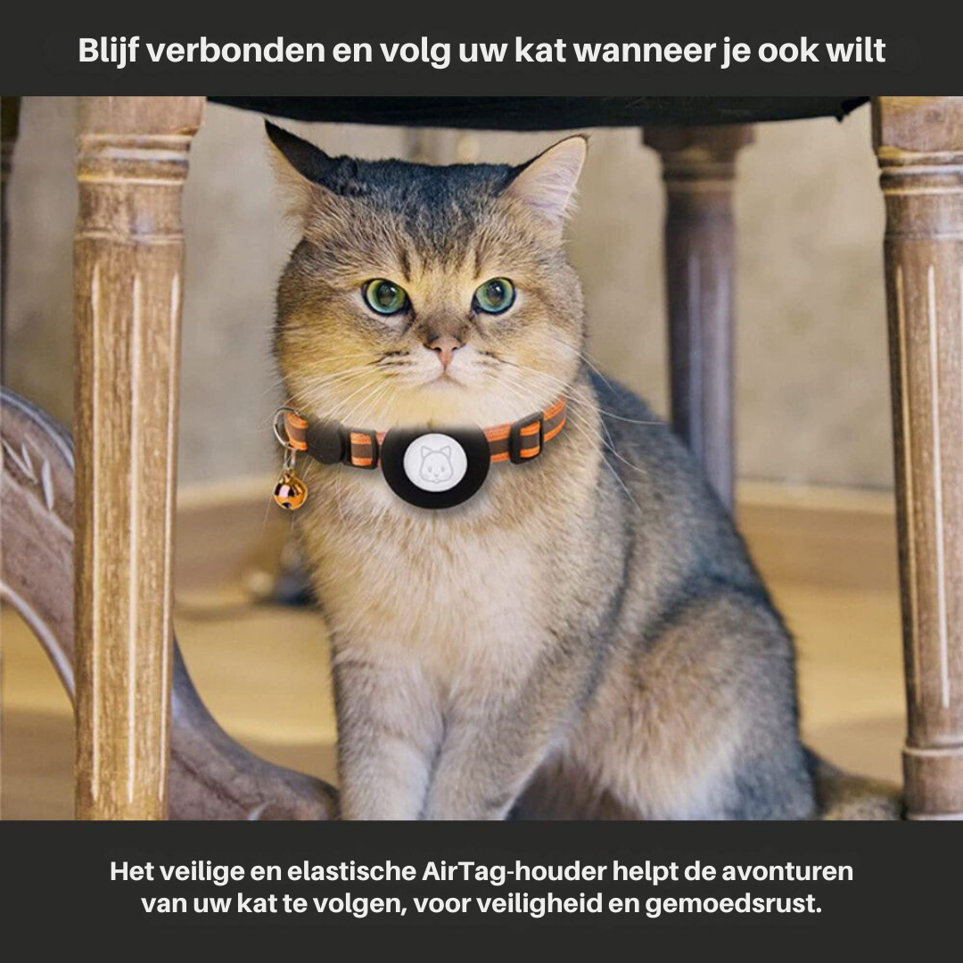 Collare GPS per Gatti con Design Riflettente e Chiusura a Sgancio Rapido – Sicurezza e Visibilità Notturna 2