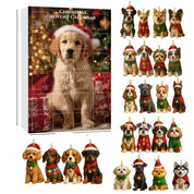 Dachshund Delight | Calendario dell'Avvento a tema cane con graziose sorprese 10