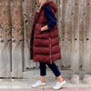 Bordeaux / XS