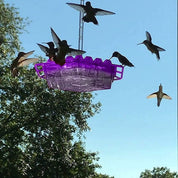 Mangiatoia per colibrì a prova di formiche, trespolo da appendere all'esterno 2