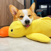 PupSense | Giocattolo interattivo di peluche per cani, per un gioco intelligente e per alleviare lo stress 1
