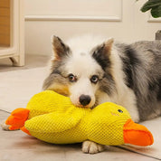 PupSense | Giocattolo interattivo di peluche per cani, per un gioco intelligente e per alleviare lo stress 3