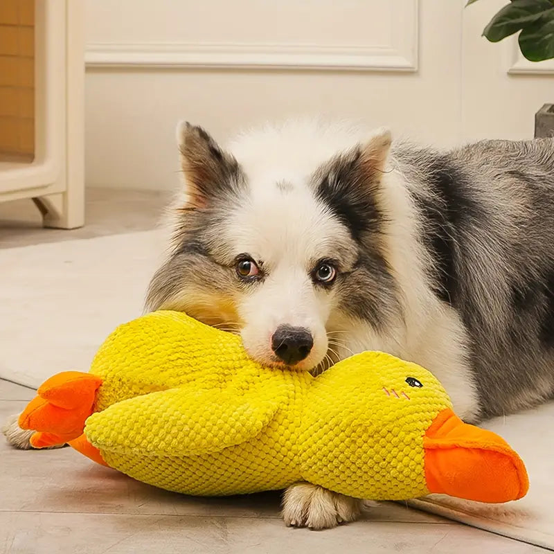 PupSense | Giocattolo interattivo di peluche per cani, per un gioco intelligente e per alleviare lo stress 3