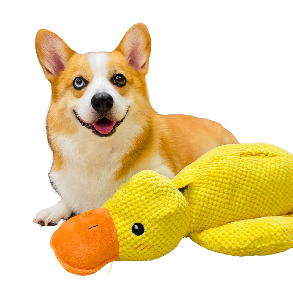 PupSense | Giocattolo interattivo di peluche per cani, per un gioco intelligente e per alleviare lo stress 4