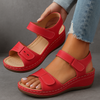Rosso (quasi esaurito) / 36