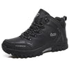 Cotone Nero / 39