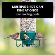 Squirrel-Proof Bird Feeder 4