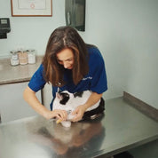 Donna veterinaria cura un gatto bianco e nero su un tavolo d'esame in clinica veterinaria. Assistenza veterinaria, salute animale, cura dei gatti.