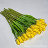 Giallo