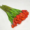 Rosso 2